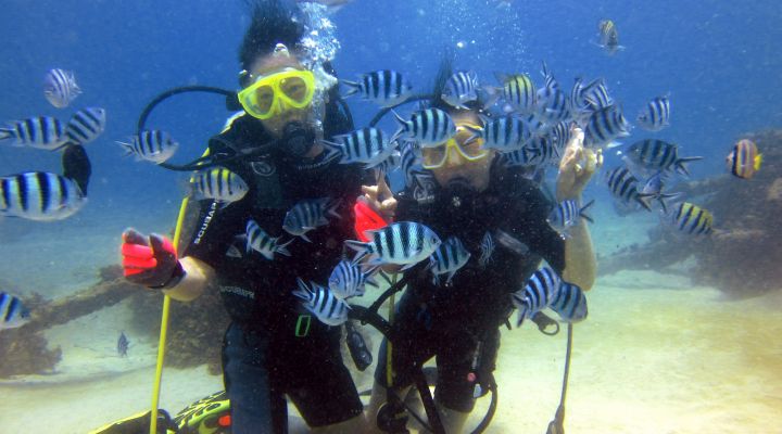 Bali Trip Host Tour - Package : Sea Walker + Parasailing Adventure