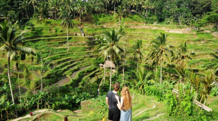 Bali Trip Host Tour - Ubud Tour