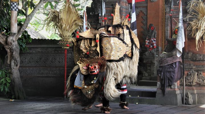 Bali Trip Host Tour - Ubud Tour